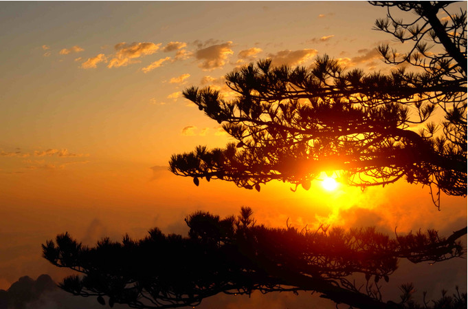 攝影技巧之清晨黃金時段拍照的5個建議-無料攝影圈