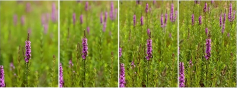 牢記這10個(gè)“救命”口訣，拯救拍照不好看插圖1