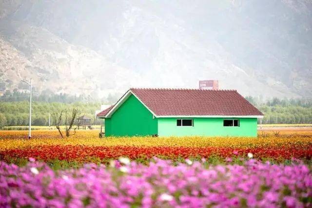 春季拍花、拍人像都能用的萬(wàn)能拍照技巧！插圖4