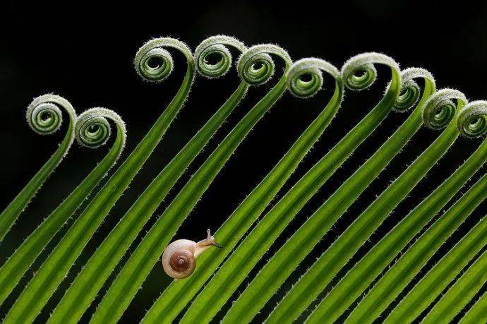 如何用節(jié)奏去構(gòu)圖？很簡單，但這個錯誤不要犯！插圖11