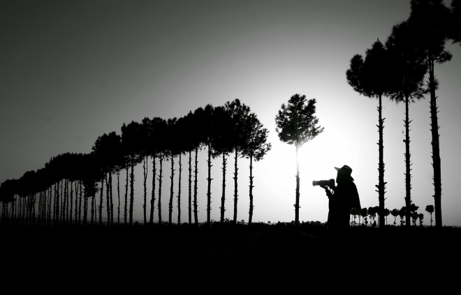 攝影技巧：怎么拍好剪影呢？-無料攝影圈