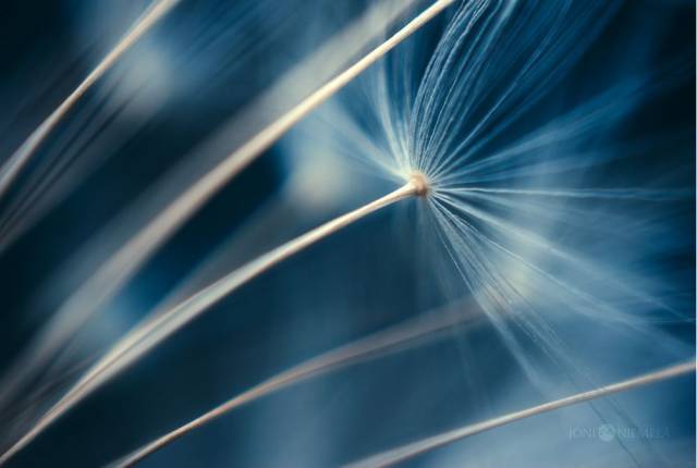 如何用節(jié)奏去構(gòu)圖？很簡單，但這個錯誤不要犯！插圖10