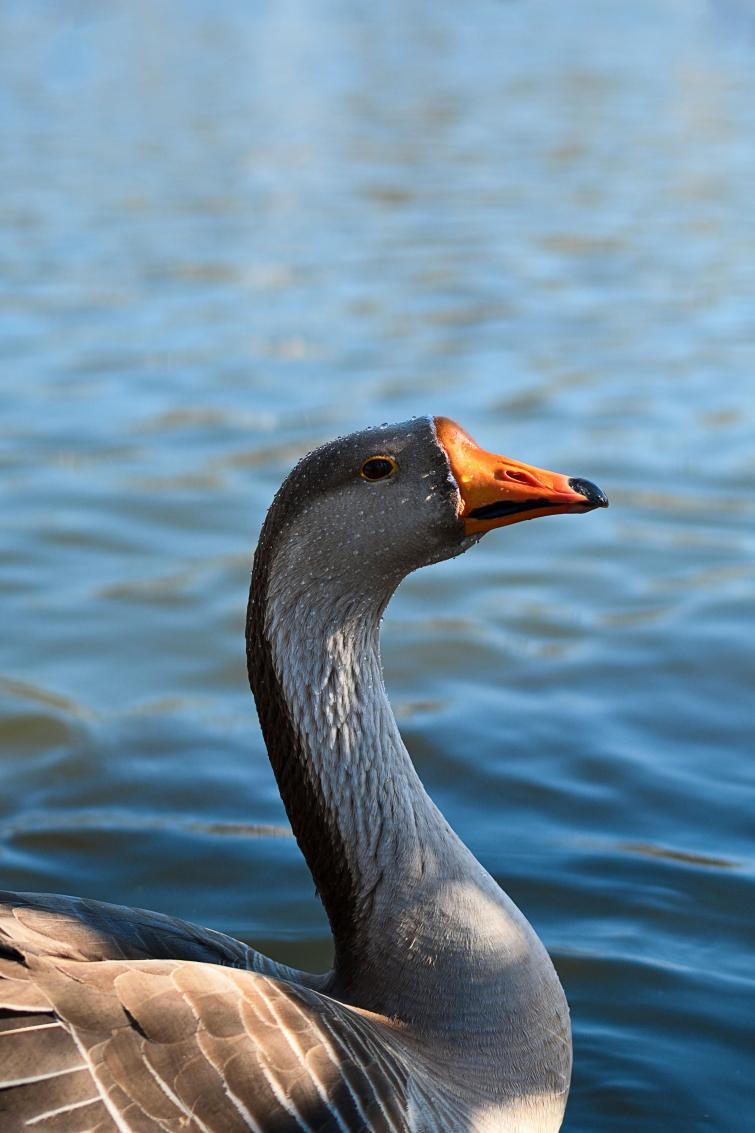 氛圍感大片直出的秘密——尼康云創(chuàng)插圖10
