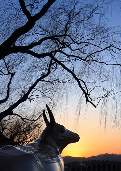 影技巧 如何使用曝光補償與包圍曝光插圖6