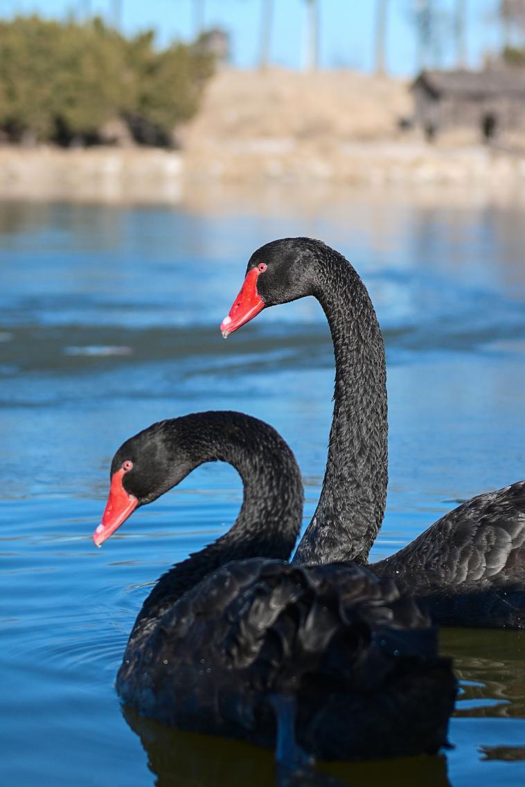 氛圍感大片直出的秘密——尼康云創(chuàng)插圖9