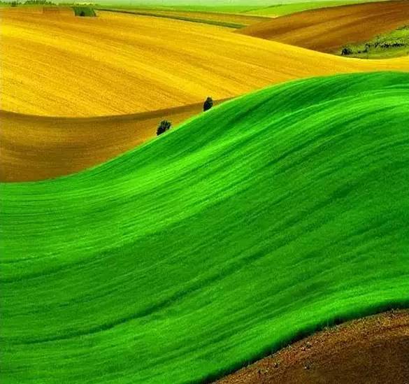 熟練運(yùn)用這個(gè)手法，還怕不出大片!插圖21