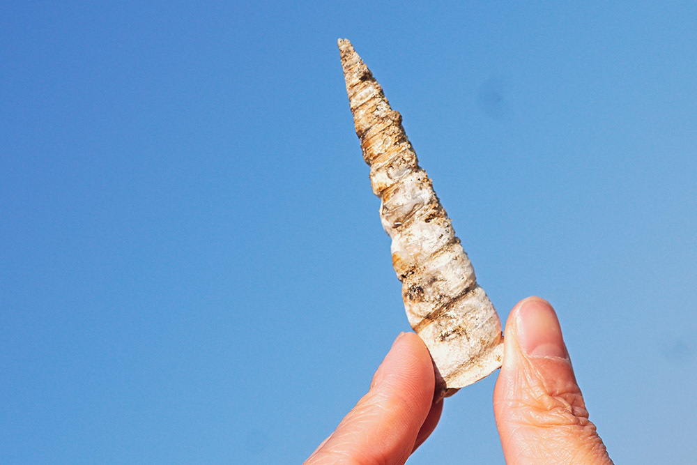 學(xué)會(huì)這4招，讓你把旅行照拍出故事感插圖9