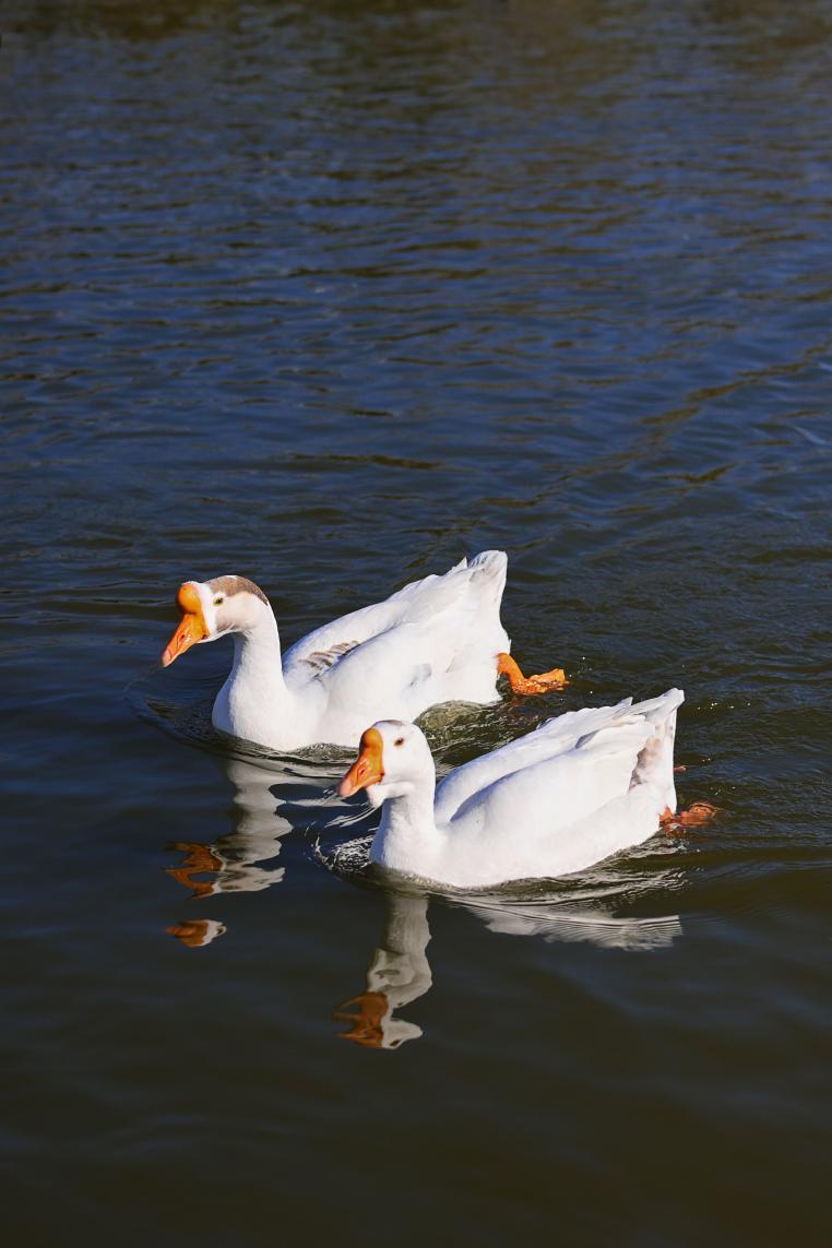 氛圍感大片直出的秘密——尼康云創(chuàng)插圖8