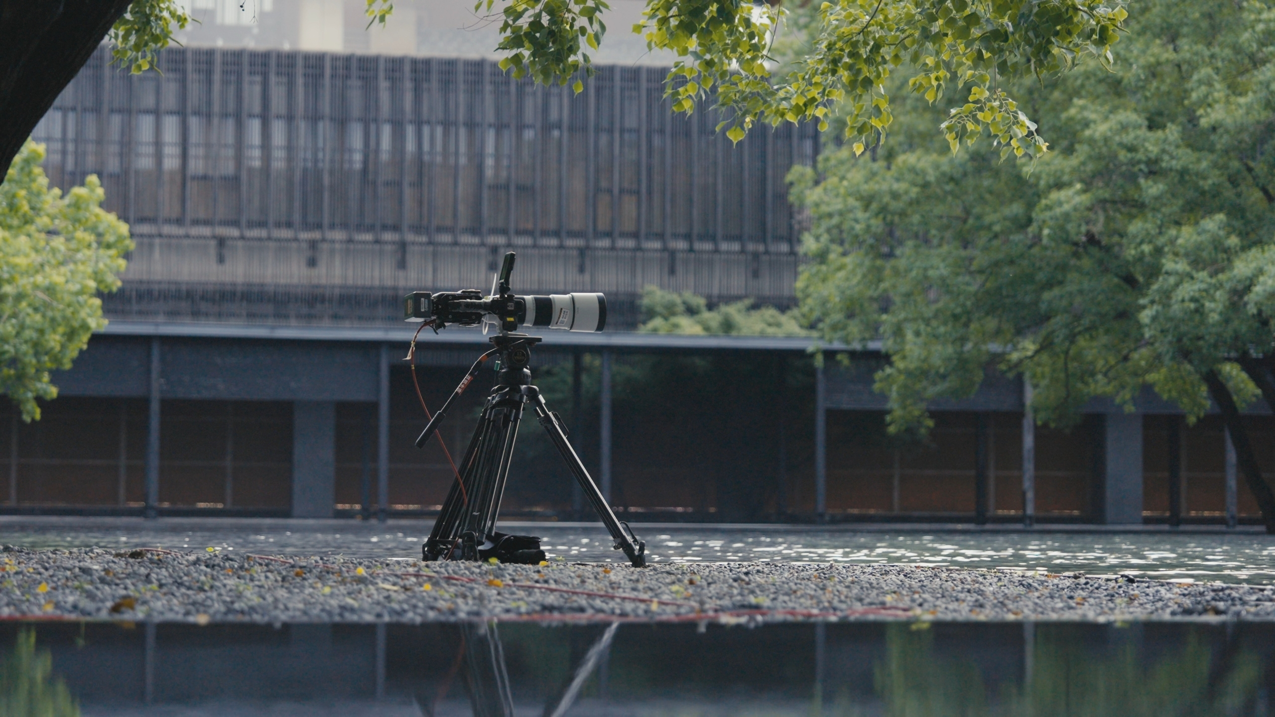 實景直播秀新突破：11臺FX3和FX6攝影機聯(lián)合打造電影感時裝直播秀插圖