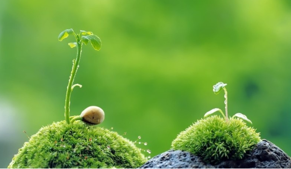 攝影技巧：“攝影眼”的培養插圖3