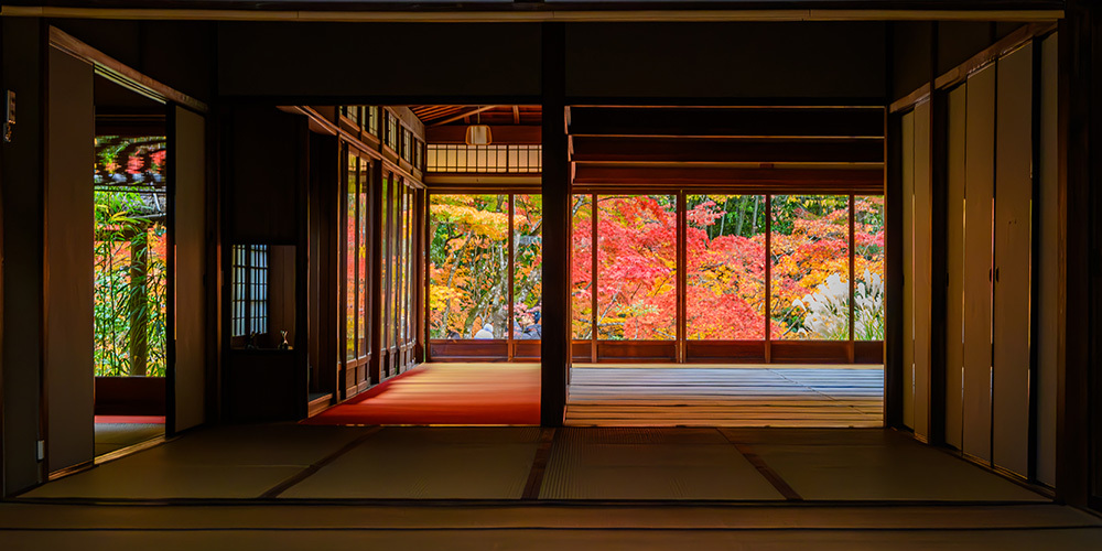 探尋京都紅葉圣地，做一場光怪陸離的夢插圖8