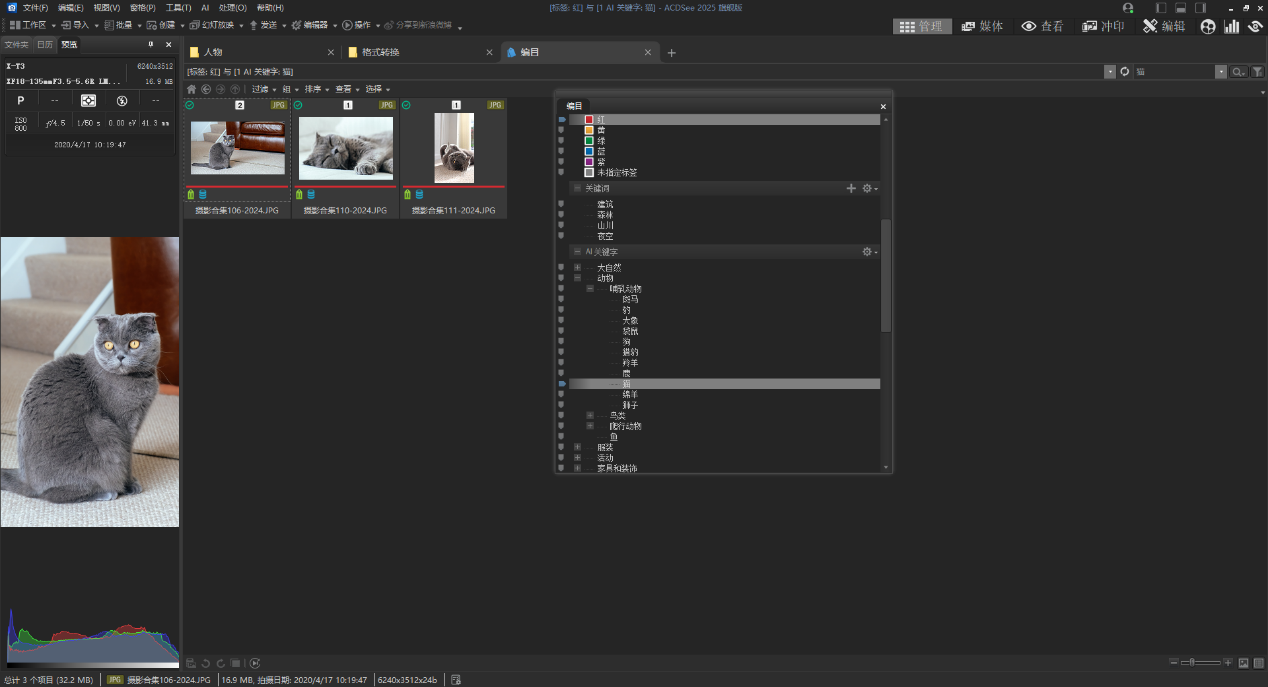 ACDSee 2025 旗艦版：攝影與創意的得力助手-無料攝影圈