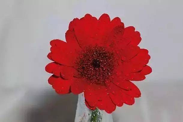 這10個(gè)構(gòu)圖錯(cuò)誤，你犯過(guò)幾個(gè)！插圖2