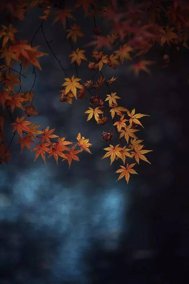 豎構圖，視覺沖擊力竟然可以這么大！插圖13