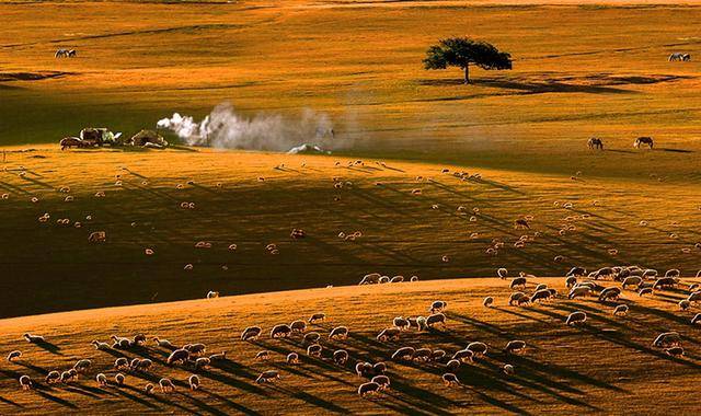 攝影畫面布局：合理安排主體、陪體的位置，利用前景、后景襯托-無料攝影圈