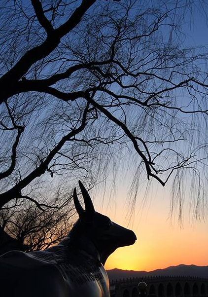 影技巧 如何使用曝光補償與包圍曝光插圖4