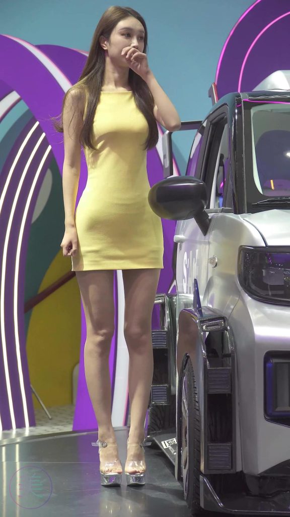 NO.0236 2021 廣州車展 Racing Model 奇瑞車模02[1V/561MB]插圖