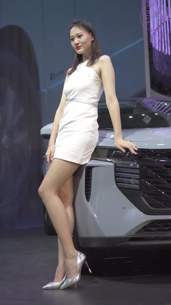 NO.0289 2021 深圳車(chē)展 Racing Model NISSAN車(chē)模02[1V/381MB]插圖3