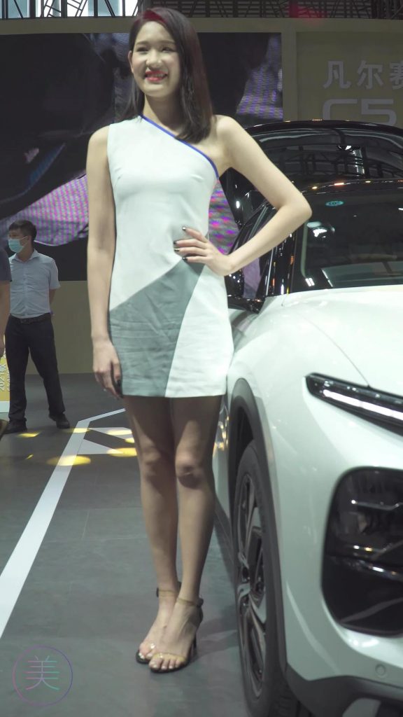 NO.0294 2021 深圳車展 Racing Model TOYOTA車模01[1V/267MB]插圖