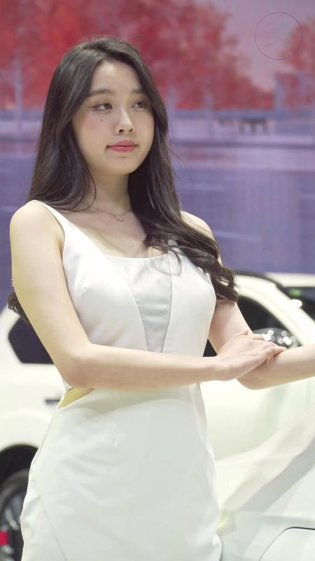 NO.0310 2021 深圳大灣區(qū)車展 Racing Model NISSAN車模07[1V/228MB]-無料攝影圈