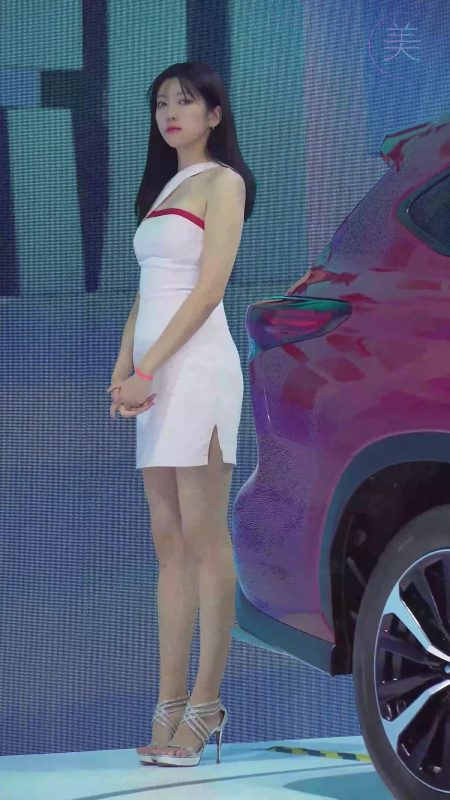 NO.0315 2021 深圳大灣區(qū)車展 Racing Model TOYOTA車模05[1V/681MB]-無料攝影圈