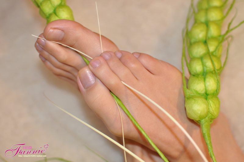 Fannie芬妮每足園 No.579 玉趾如蠶向花語4[95P/270MB]-無料攝影圈