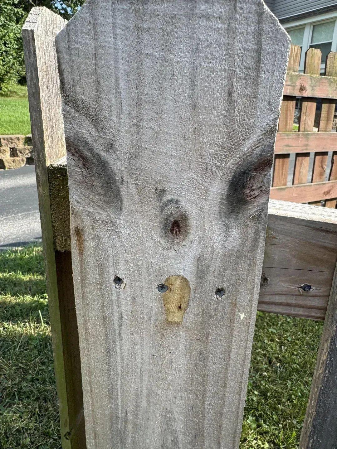 22張照騙，眼見不為實：它們正悄悄揭穿你的思維習慣插圖16