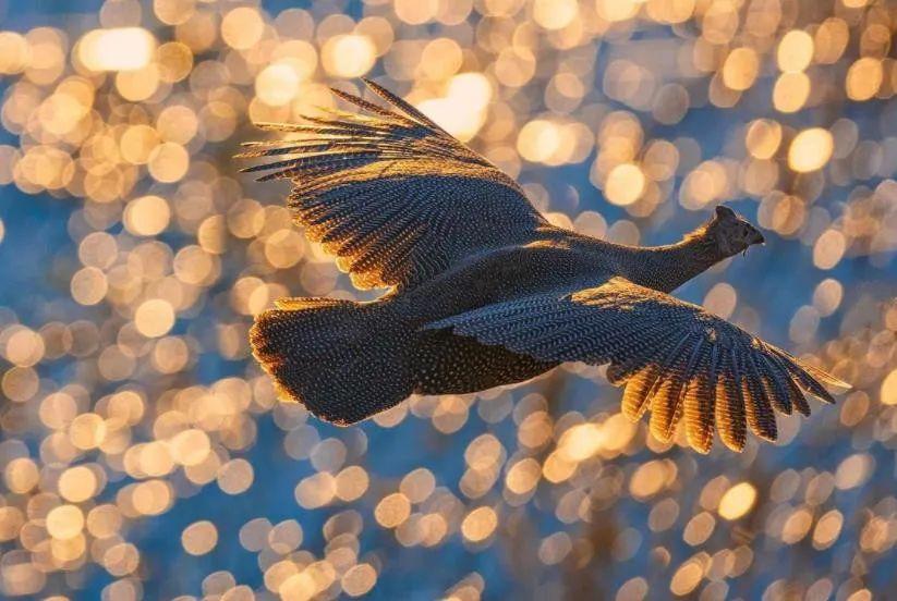 25個世界奇景：人類、動物和地球都在“整活”，看完大開眼界插圖2