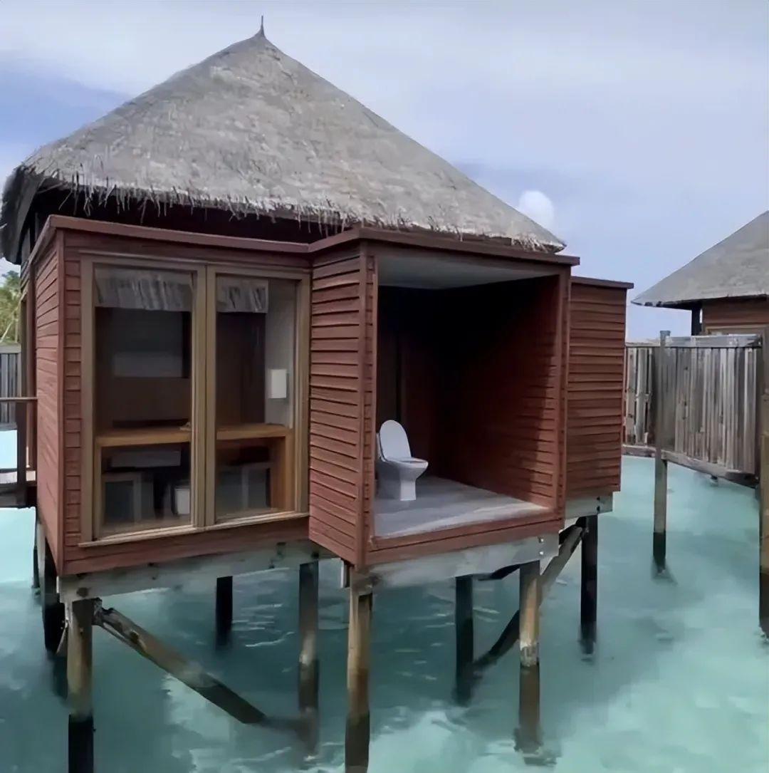 21張“現實攻擊性極強”的照片，每一張都在挑戰常識極限插圖9