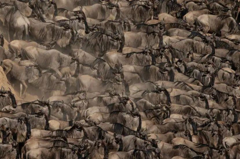 25個世界奇景：人類、動物和地球都在“整活”，看完大開眼界插圖17