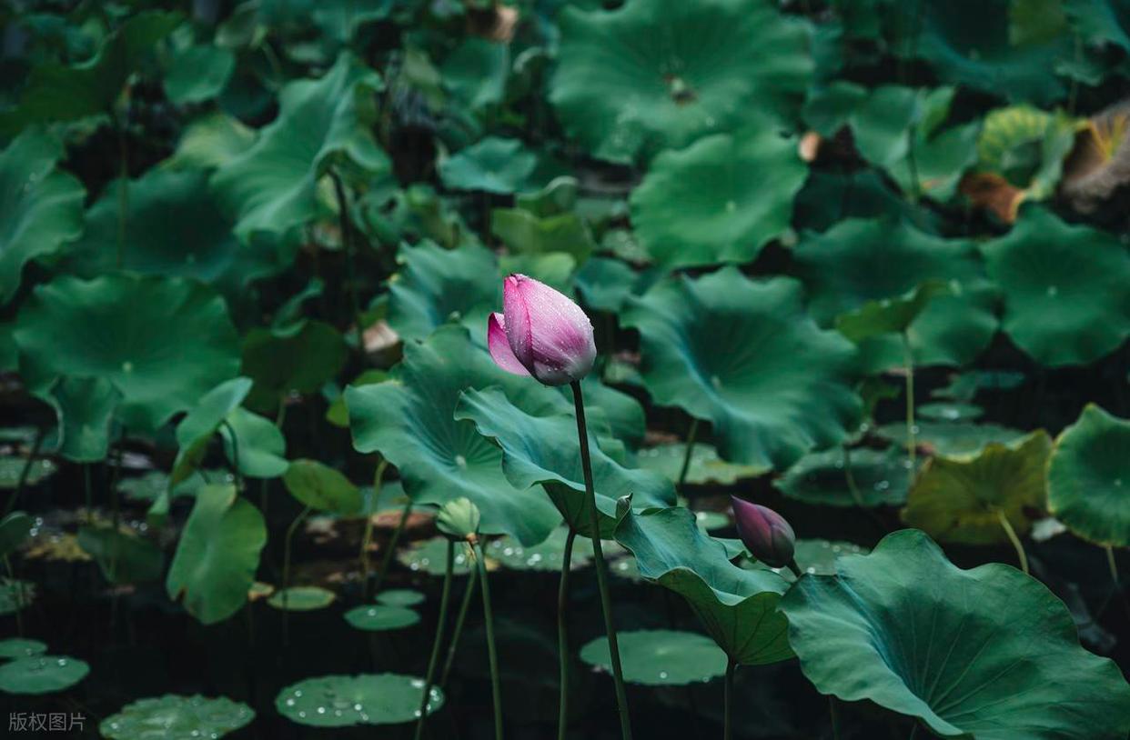 想學(xué)攝影百問(wèn)之一：學(xué)攝影到底難不難？插圖2