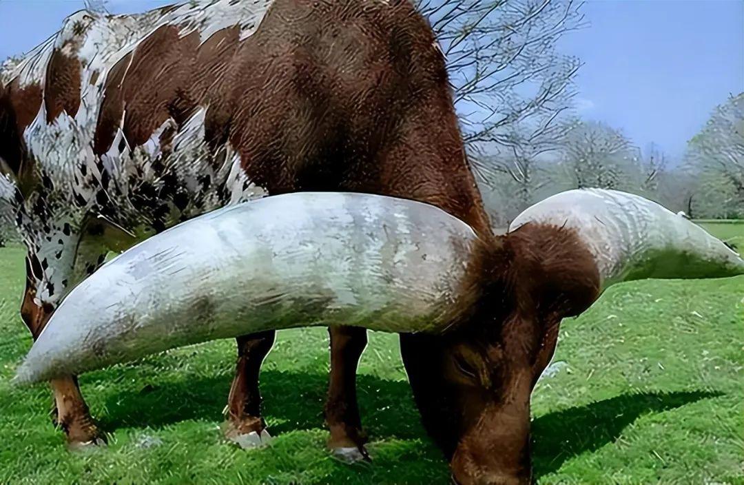 20次地球開掛的時刻：拍下來的那一刻，我開始重新審視世界！-無料攝影圈