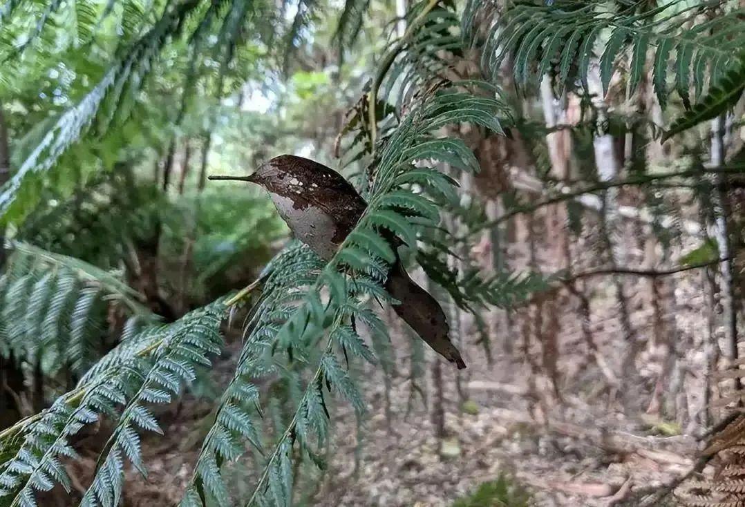 這些照片太會“騙人”：20個讓你大腦短路的錯覺瞬間-無料攝影圈