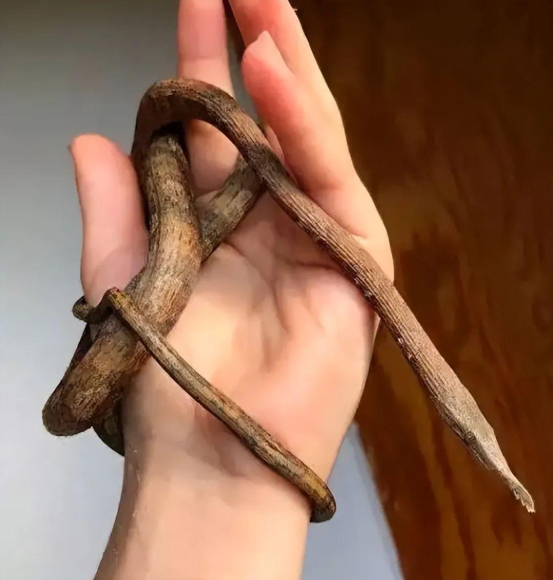 20張照片讓你大開眼界：原來地球比想象中還“離譜”！插圖2