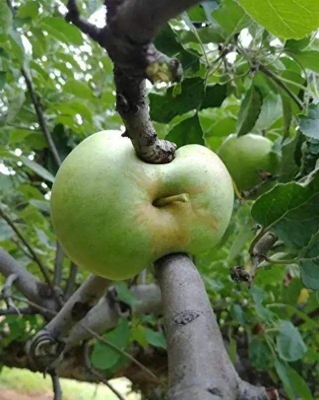 20次地球開掛的時刻：拍下來的那一刻，我開始重新審視世界！插圖2