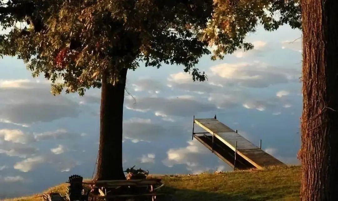 26張“腦洞大開”的錯覺照：沒有PS，卻比魔術還離譜插圖20