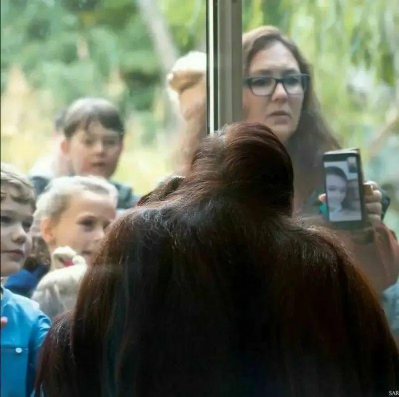 你從未見過的35個地球視角：自由女神骨架、垃圾圍城、兔子洞剖面全曝光插圖28