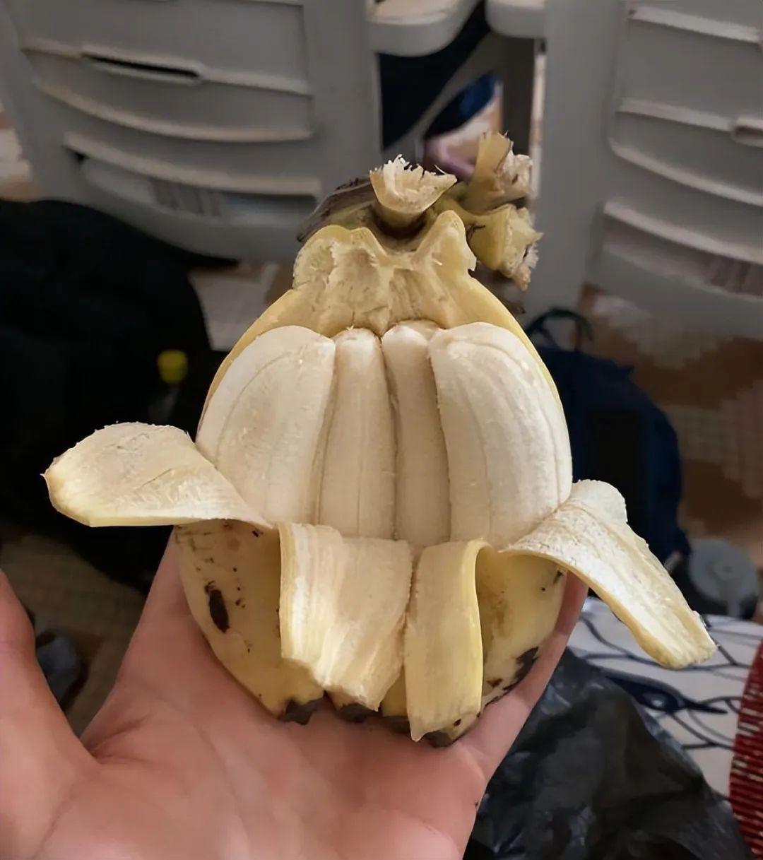 20次地球開掛的時刻：拍下來的那一刻，我開始重新審視世界！插圖11