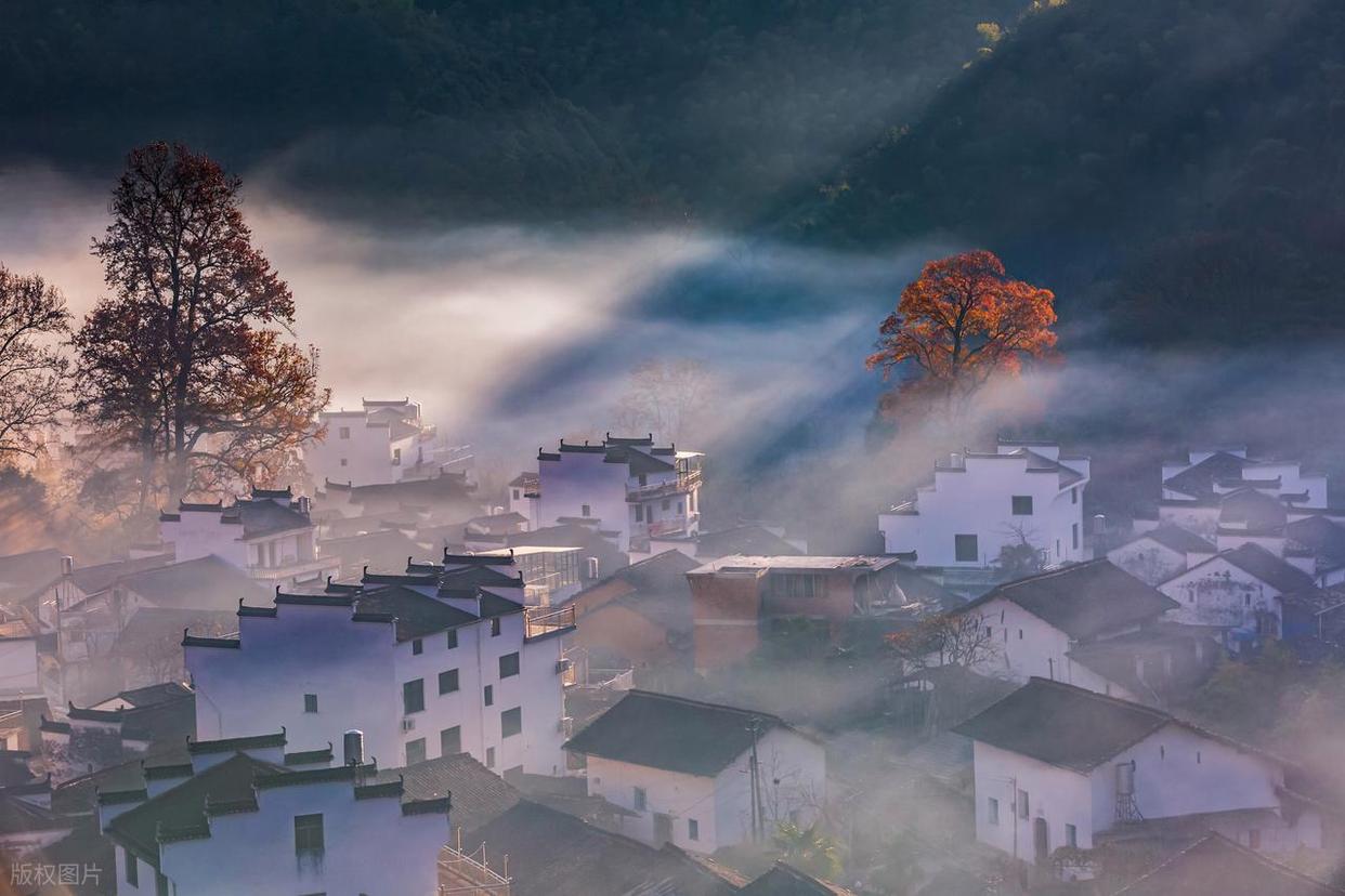 攝影新手進(jìn)階：解鎖不同時(shí)段光線密碼！插圖3