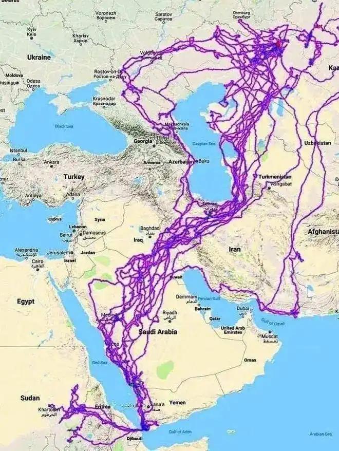 見過會“透明”的鯊魚嗎？30張讓人瞠目結舌的自然奇觀照片插圖7