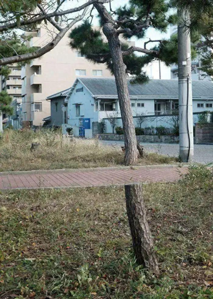 20張照片太離譜：第一眼看錯的你，不是一個人插圖