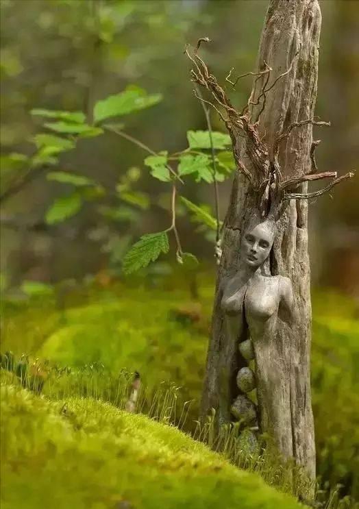 28棵“不正經”的樹：屁股、大長腿、搞笑臉，這屆樹木太會演了！插圖12