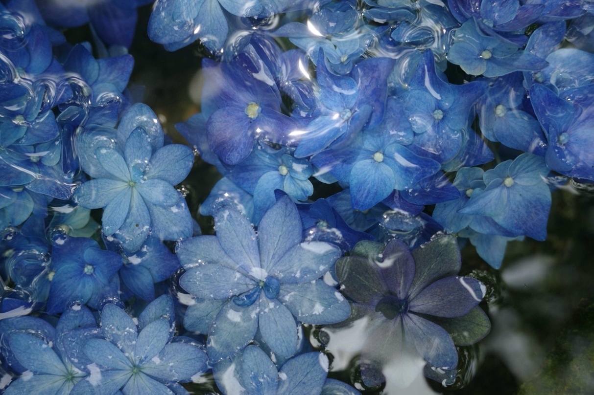 理光高端便攜系列新品發(fā)布：RICOH GR IV 和小型閃光燈 RICOH GF-2插圖15