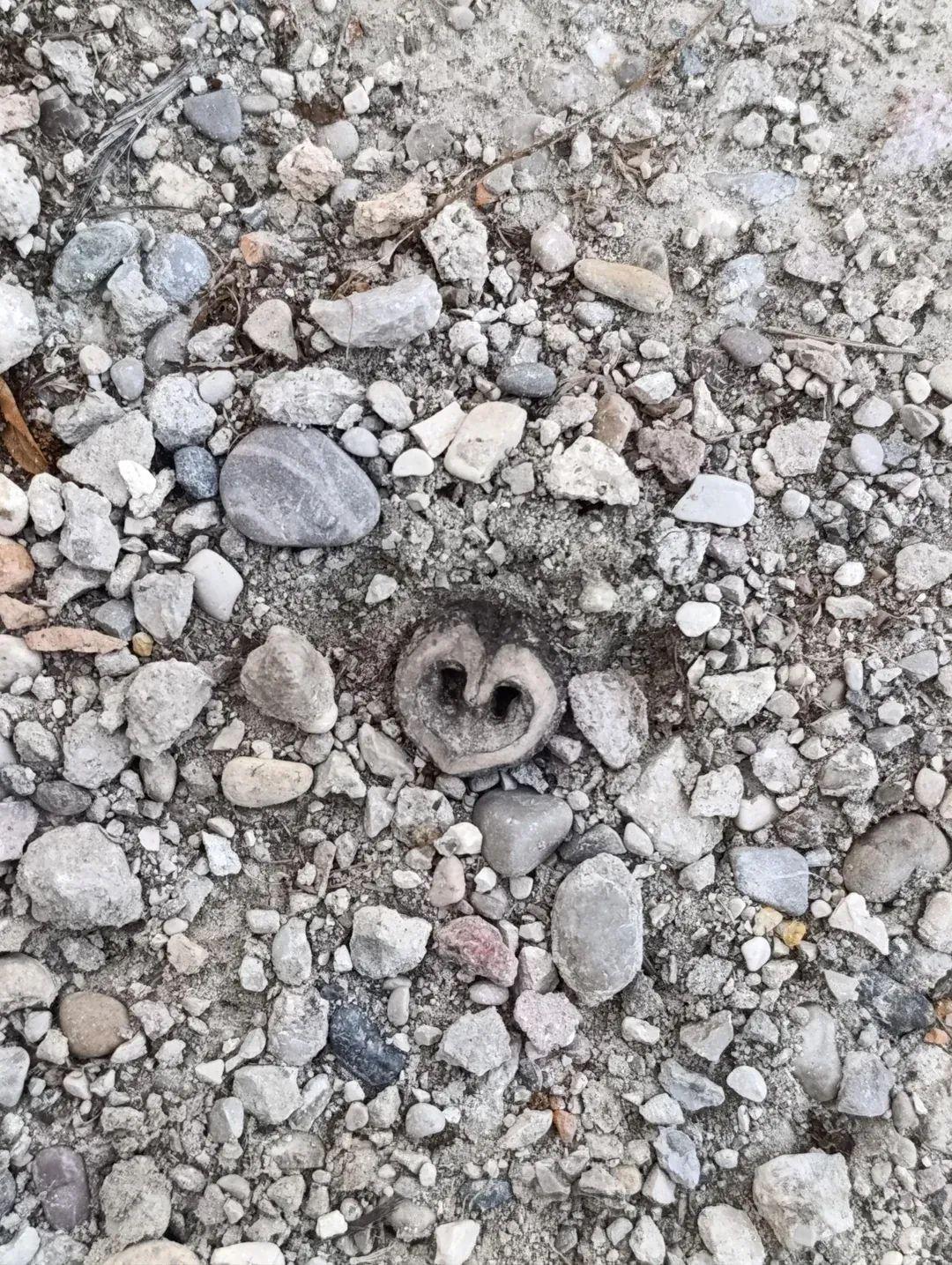 22張照騙，眼見不為實：它們正悄悄揭穿你的思維習慣插圖8