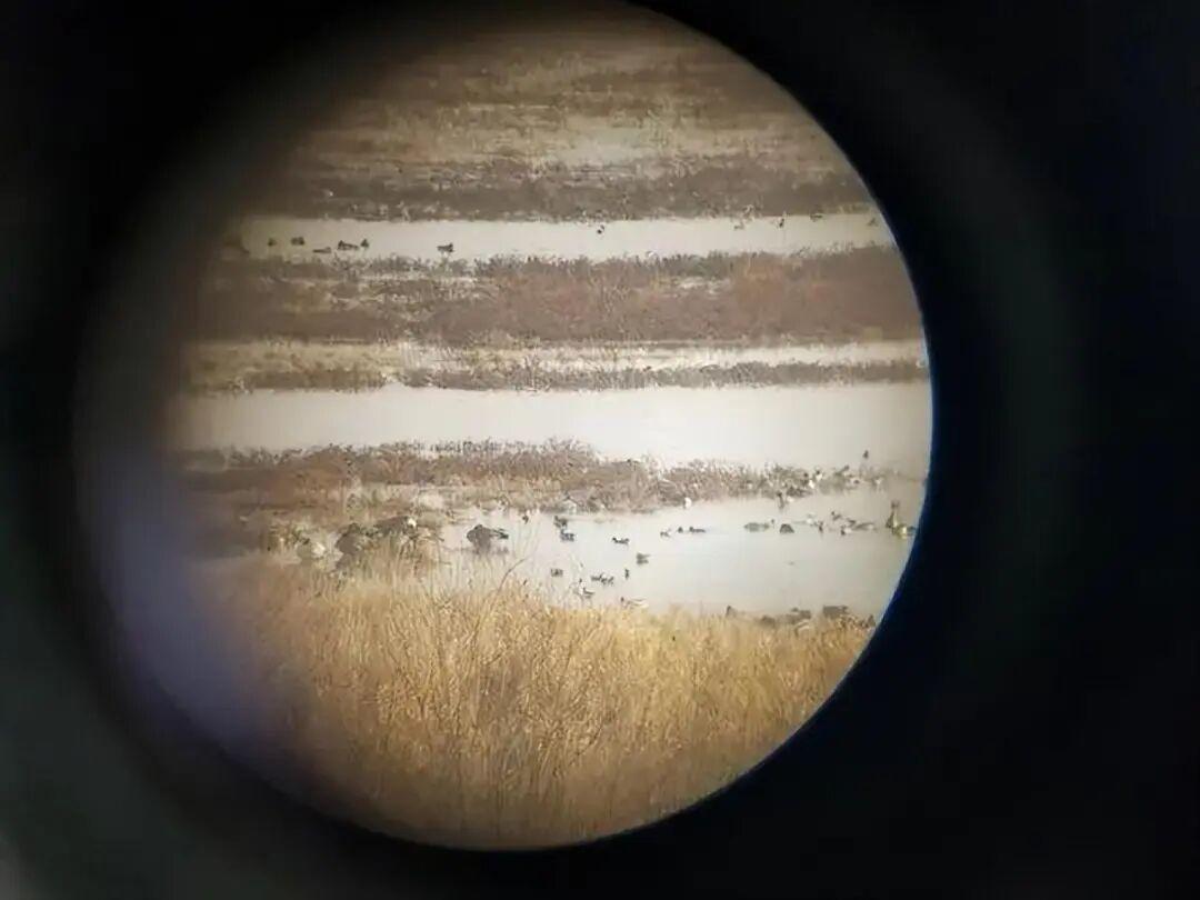 26張“腦洞大開”的錯覺照：沒有PS，卻比魔術還離譜插圖23