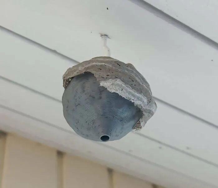 30 張“眼見不一定為實”的照片，挑戰你對現實的認知插圖27