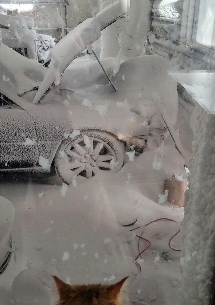 30張照片記錄人類和動物頂風而上的瞬間：自然要毀滅，他們卻活下來了插圖19