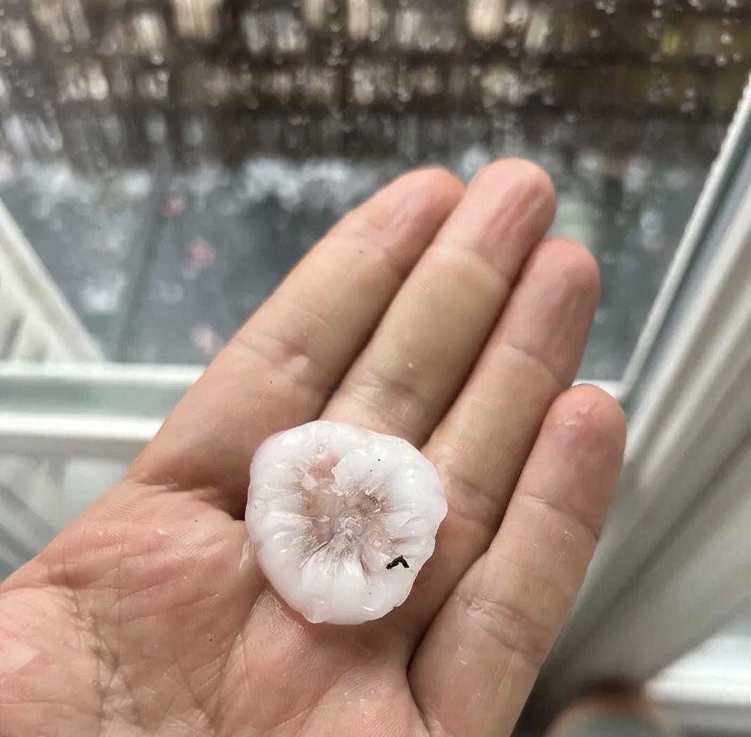 21張大自然的“壞脾氣”瞬間：笑哭、心疼、心驚全都來了插圖17