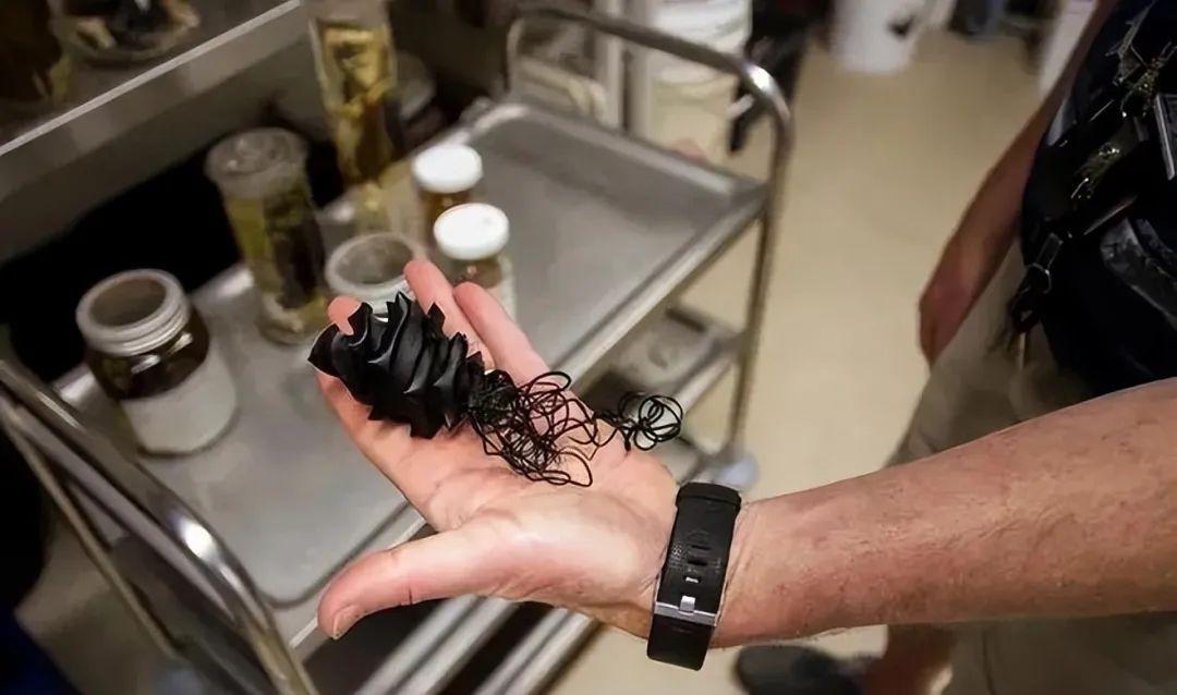 20次地球開掛的時刻：拍下來的那一刻，我開始重新審視世界！插圖10