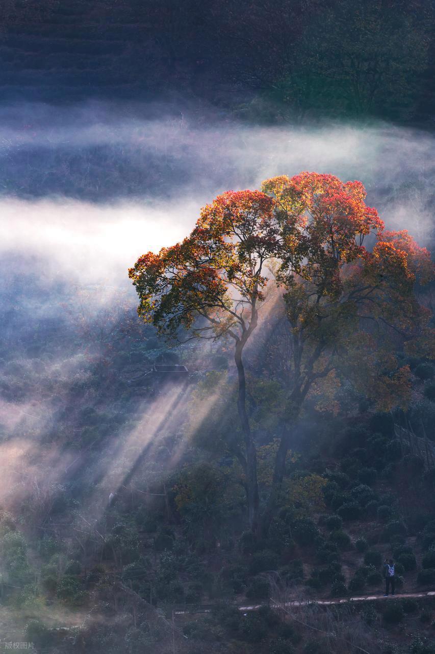 攝影新手進(jìn)階：解鎖不同時(shí)段光線密碼！插圖2